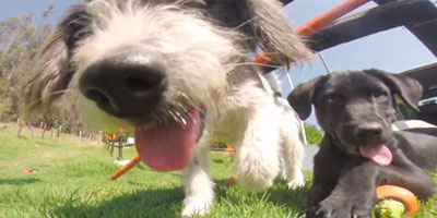 Porque ellos son nuestra prioridad